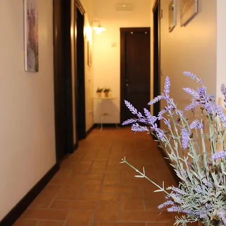 Guest house Domus Giuliae Trecastagni